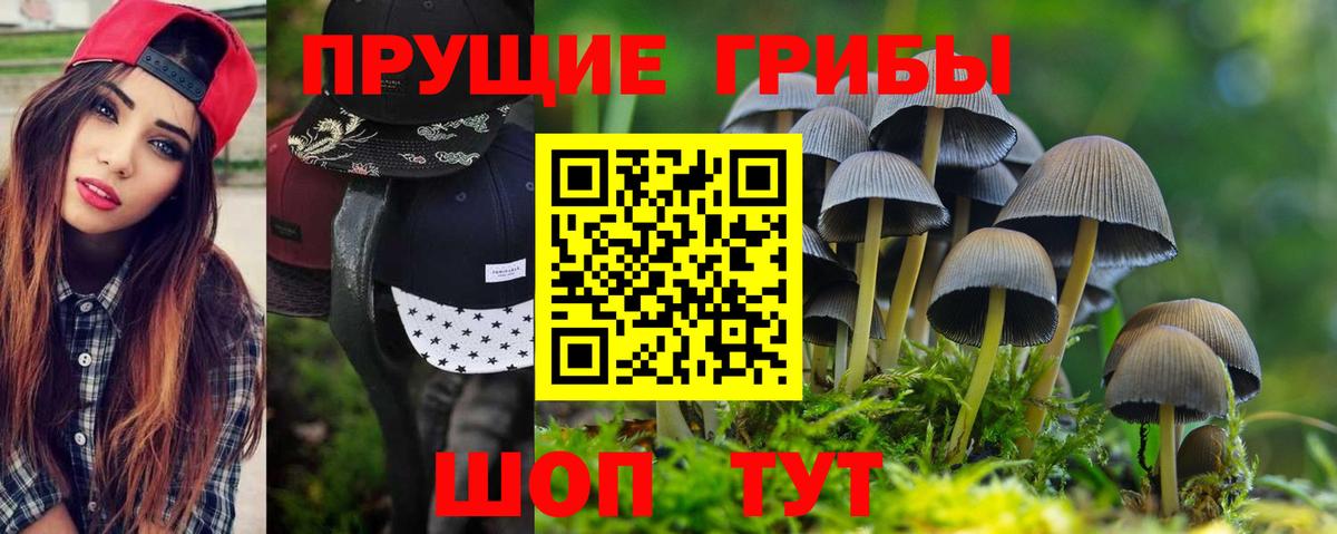 Галлюциногенные грибы Magic Shrooms  Вход с VPN  Жуковский 