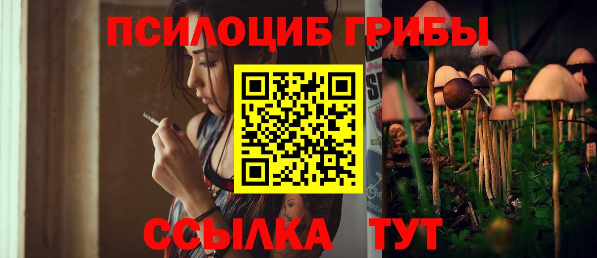 Галлюциногенные грибы GOLDEN TEACHER Жуковский